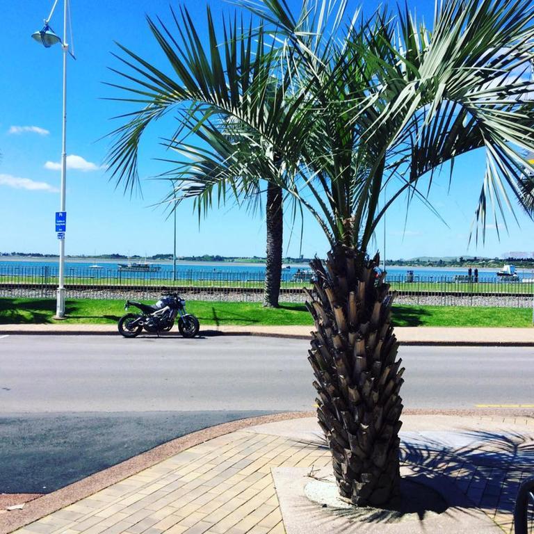 Harbourside City Backpackers Tauranga Kültér fotó